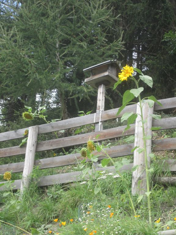 Ferienhaus Fichtenheim Prägraten Esterno foto